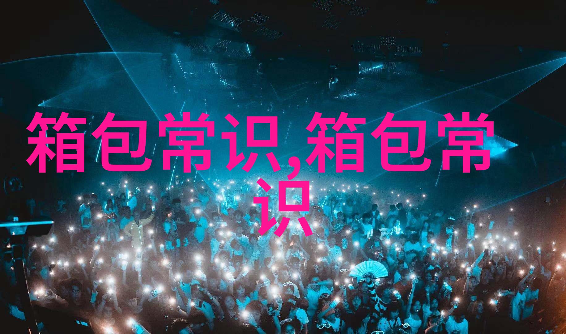 独特风格与高质量深入了解Verci女包的魅力