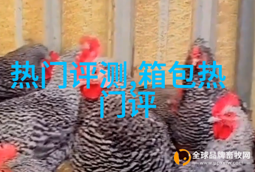 为什么老凤祥的黄金要比别家的贵难道含金量多吗