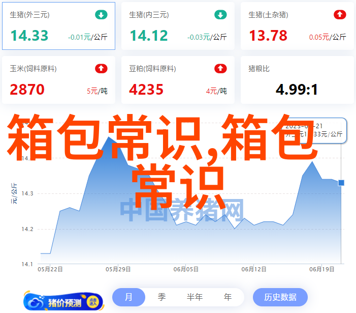 揭秘HYM女包时尚与实用的完美结合
