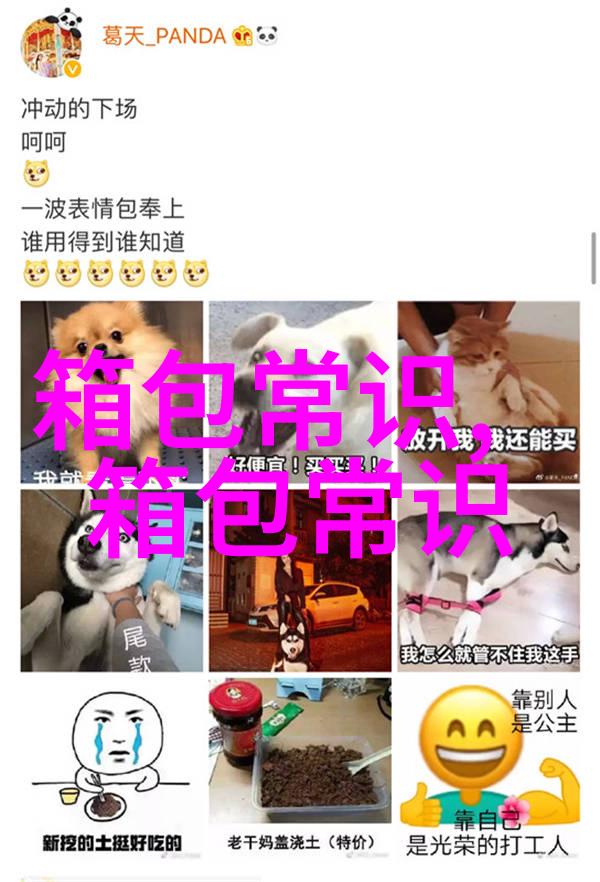 探秘COCELIN女包品质与时尚的完美结合