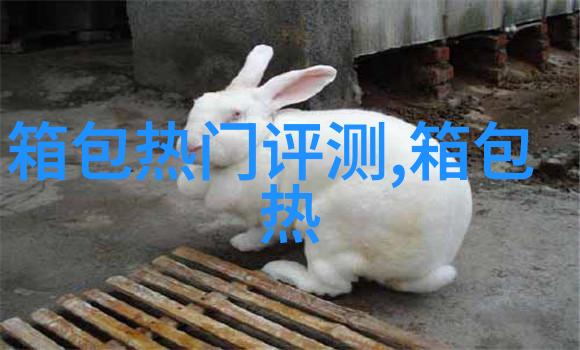 versitile4是谁的鞋