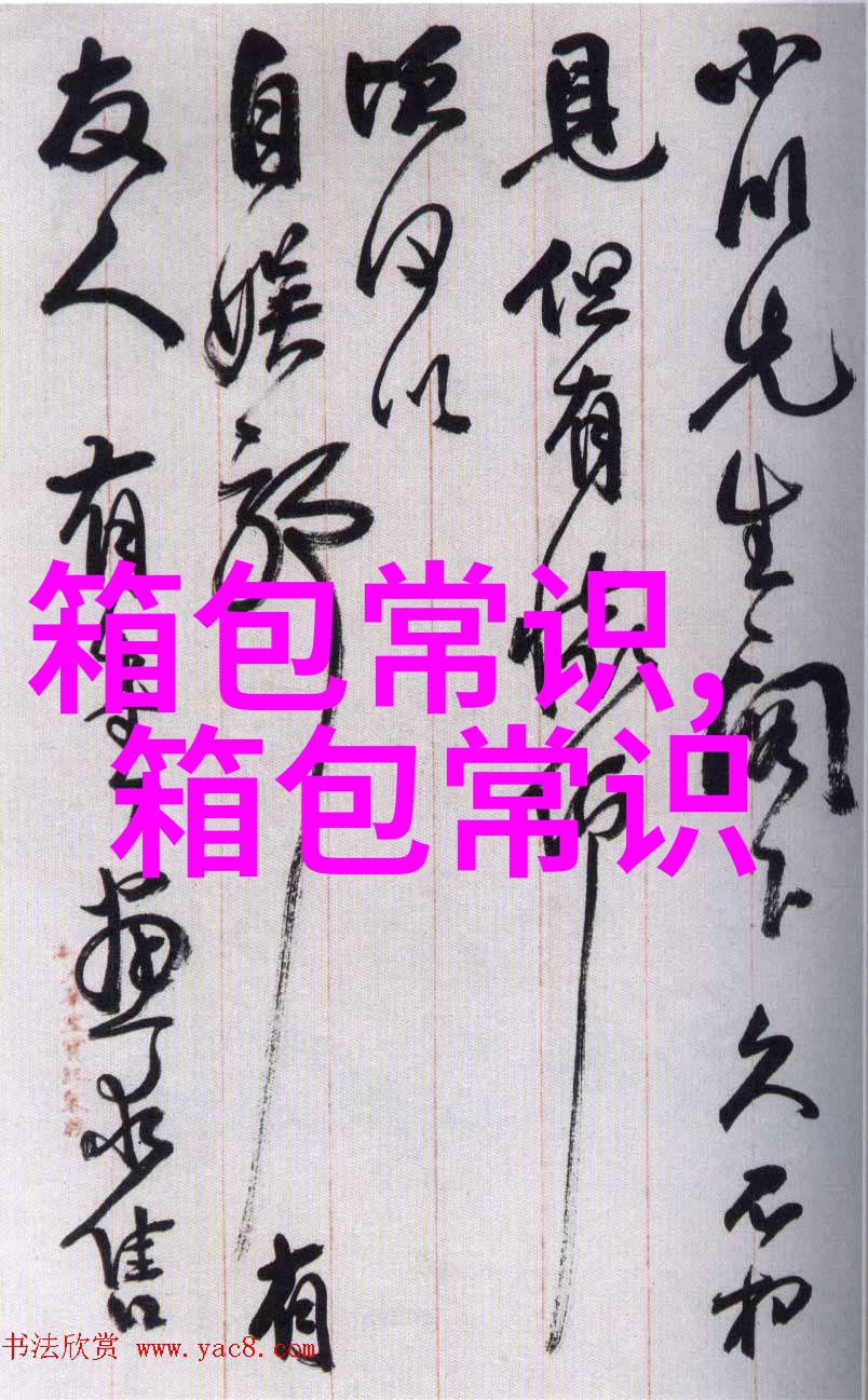 探索时尚与实用的完美结合fenni女包的魅力