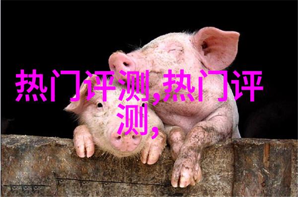 紫色羽绒服里面配什么