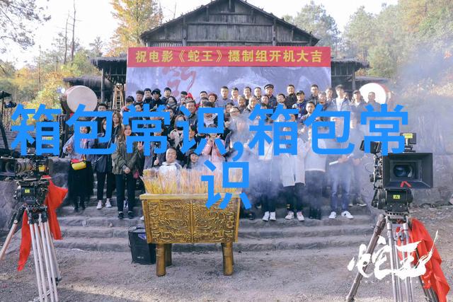 探索Nanushka女包精致与功能性的完美结合